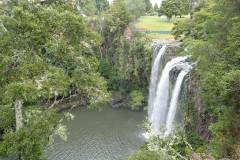 Whangarei Falls To Town Basin